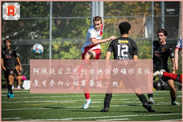 阿根廷后卫巴列尔迪伤势确诊若恢复可参加小组赛最后一轮